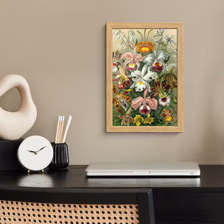 Poster met lijst - Planten - Natuur - Bloemen - Ernst Haeckel — 2