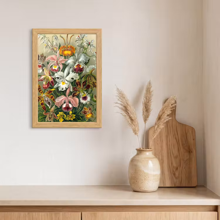 Poster met lijst - Planten - Natuur - Bloemen - Ernst Haeckel — 3
