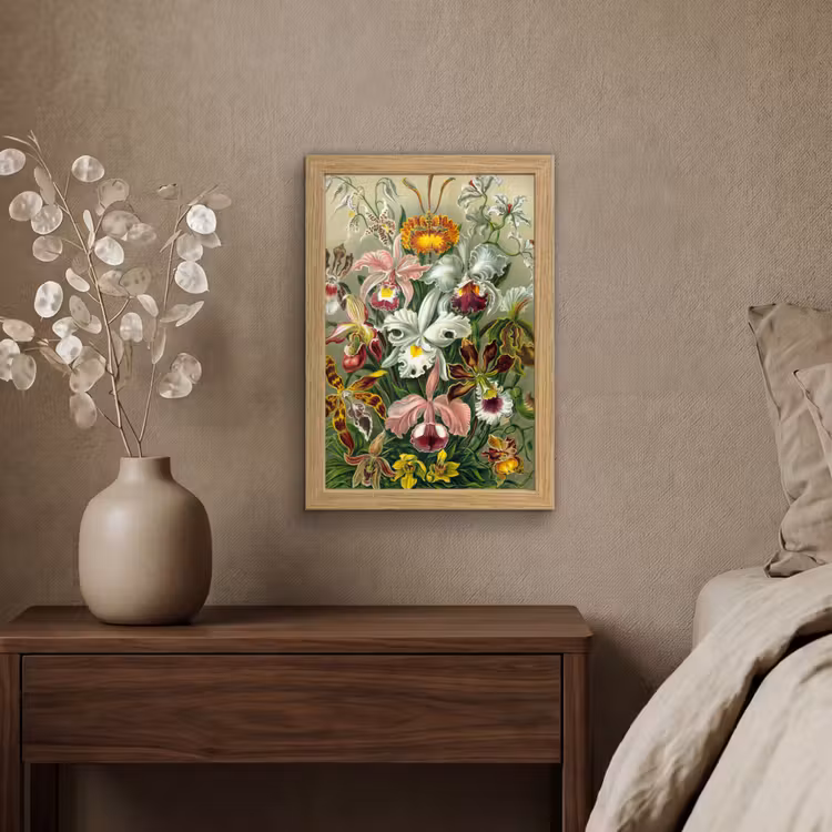 Poster met lijst - Planten - Natuur - Bloemen - Ernst Haeckel — 4
