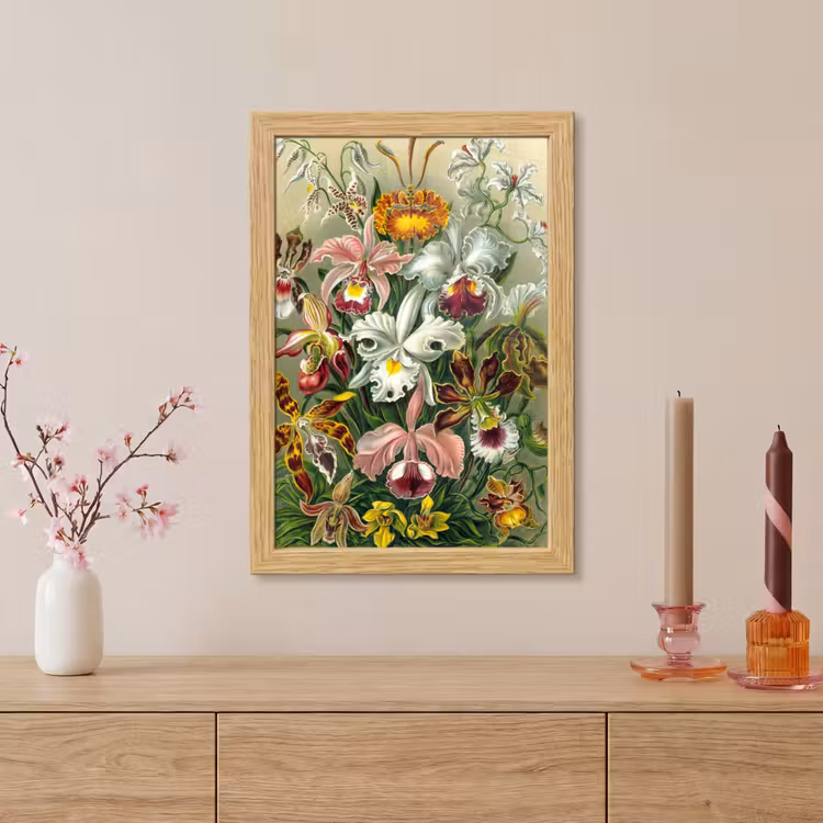 Poster met lijst - Planten - Natuur - Bloemen - Ernst Haeckel — 5