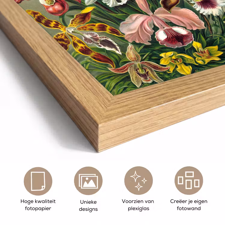 Poster met lijst - Planten - Natuur - Bloemen - Ernst Haeckel — 6