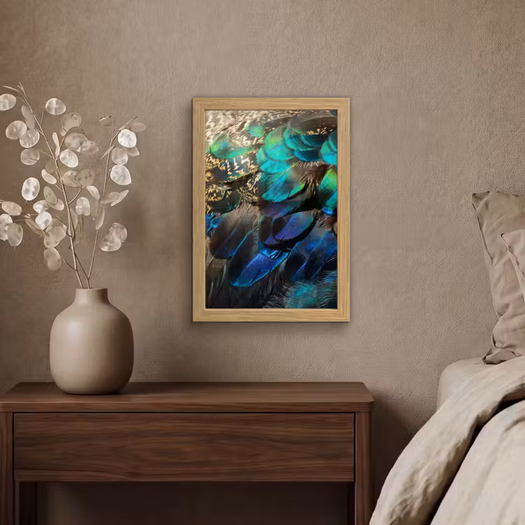 Poster met lijst - Veren - Pauwveren - Pauw - Blauw - Kunst — 4