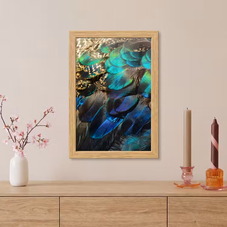 Poster met lijst - Veren - Pauwveren - Pauw - Blauw - Kunst — 5