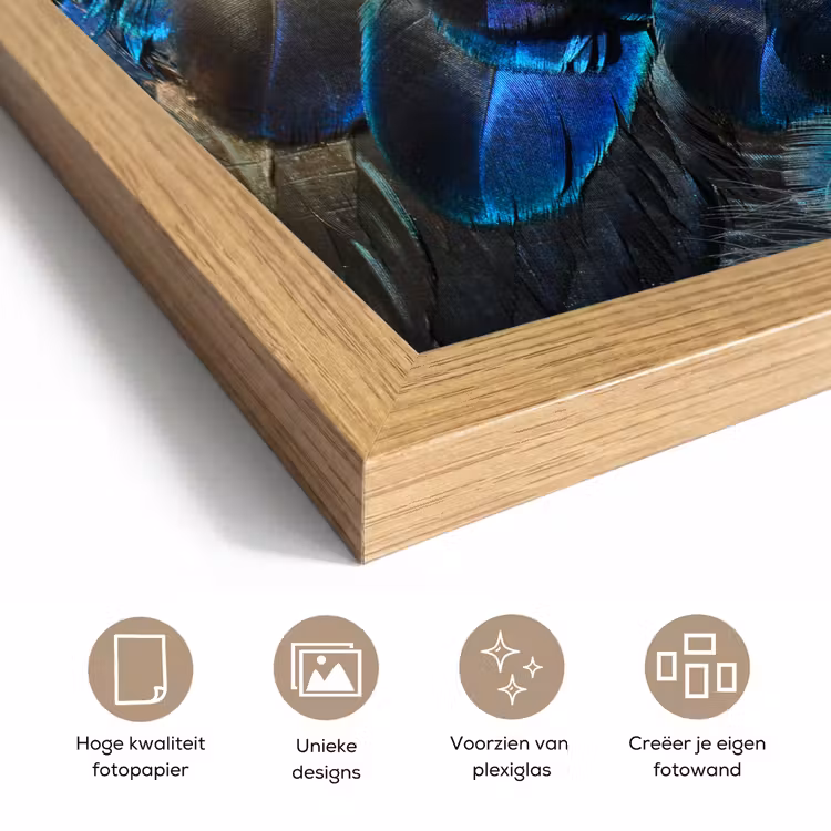 Poster met lijst - Veren - Pauwveren - Pauw - Blauw - Kunst — 6