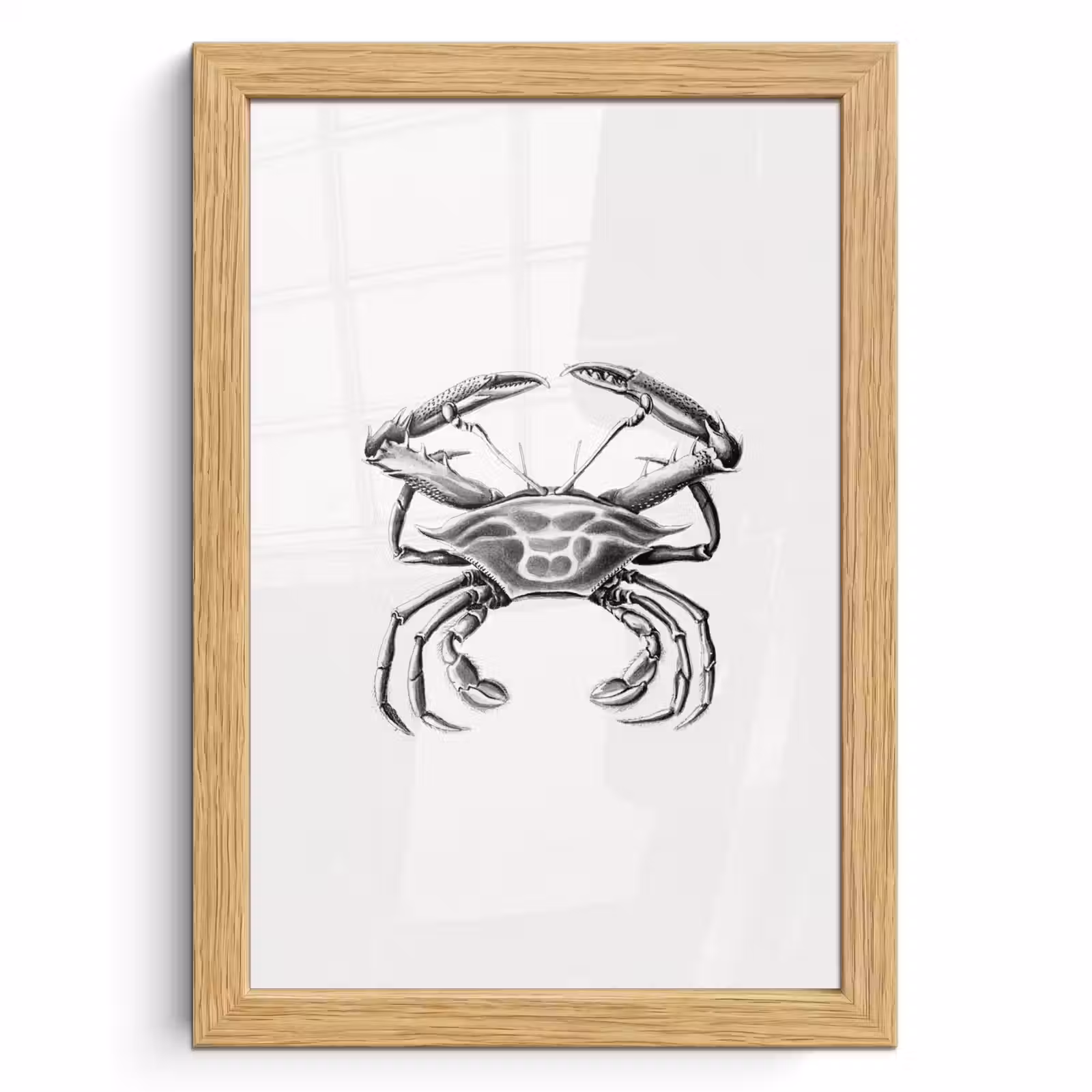 Poster met lijst - Ernst Haeckel - Vintage - Kunst - Krab — 1