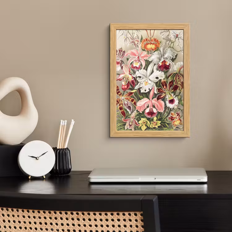 Poster met lijst - Bloemen - Ernst Haeckel - Vintage - Orchidee — 2