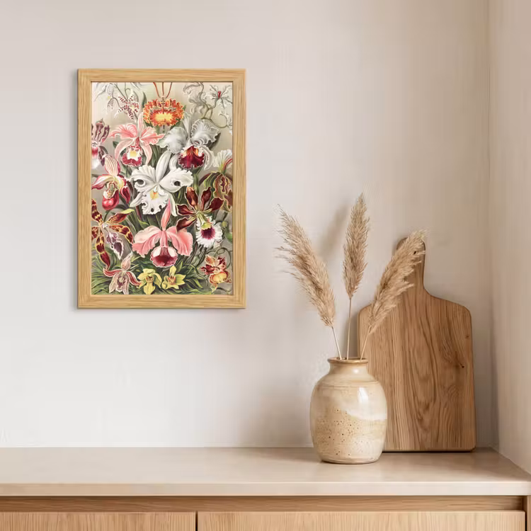 Poster met lijst - Bloemen - Ernst Haeckel - Vintage - Orchidee — 3