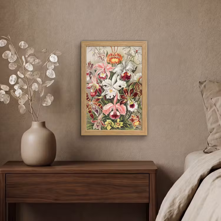 Poster met lijst - Bloemen - Ernst Haeckel - Vintage - Orchidee — 4