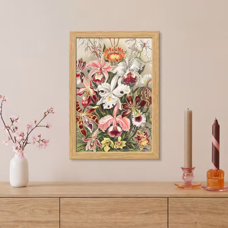 Poster met lijst - Bloemen - Ernst Haeckel - Vintage - Orchidee — 5