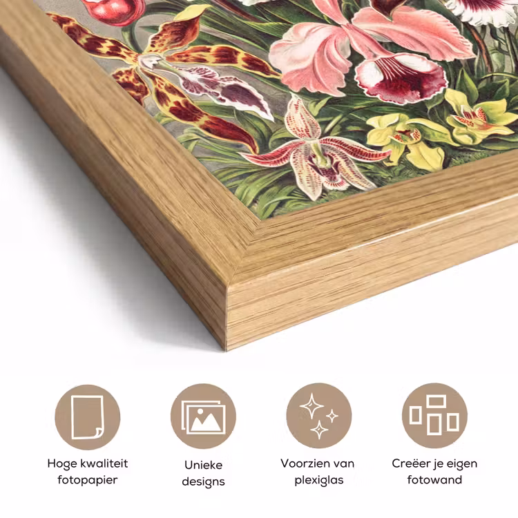 Poster met lijst - Bloemen - Ernst Haeckel - Vintage - Orchidee — 6