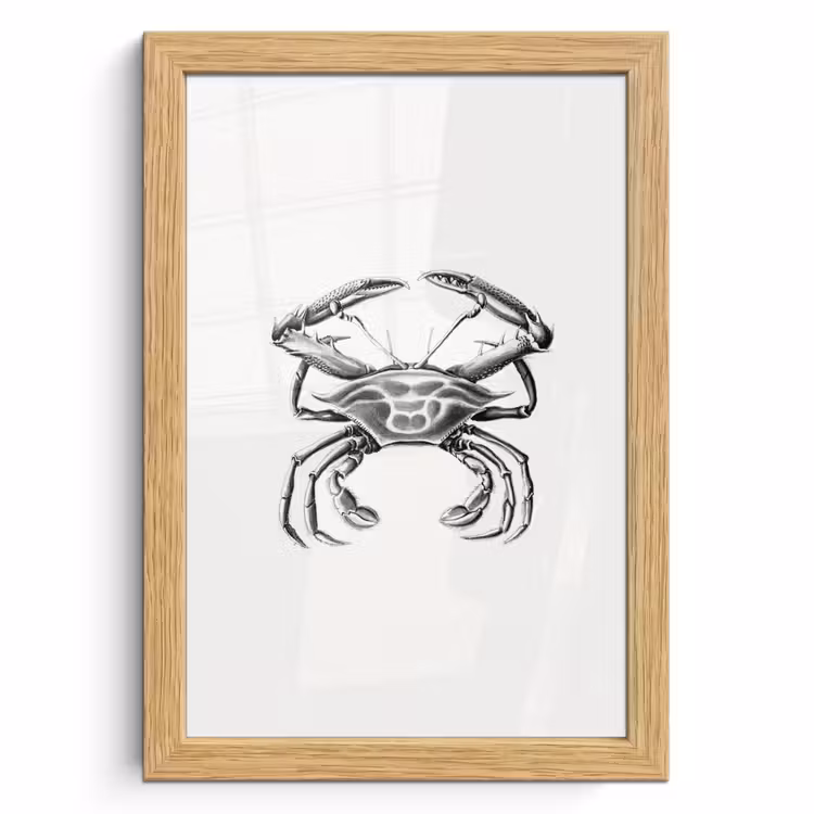 Poster met lijst - Ernst Haeckel - Vintage - Kunst - Krab — 1