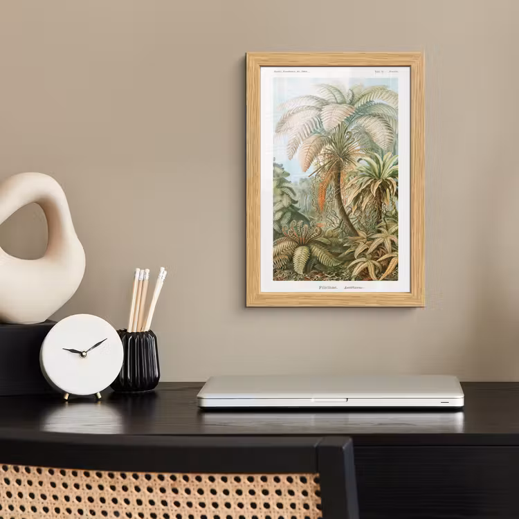 Poster met lijst - Vintage - Oude meesters - Varens - Planten - Natuur — 2