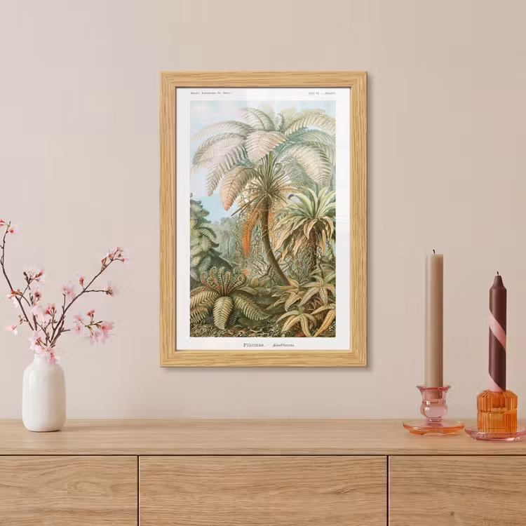 Poster met lijst - Vintage - Oude meesters - Varens - Planten - Natuur — 5