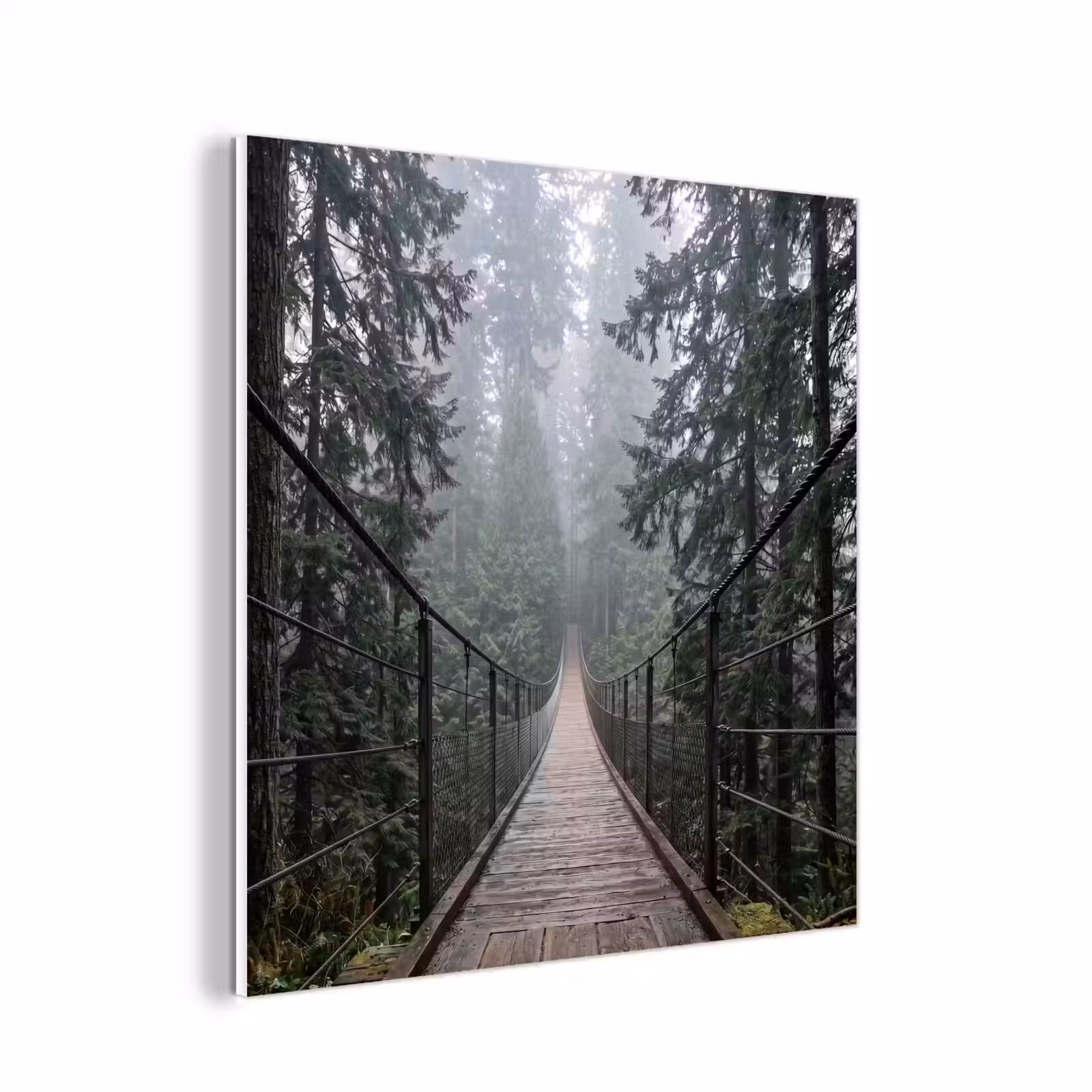 Forex - Brug - Bos - Mist - Natuur — 1