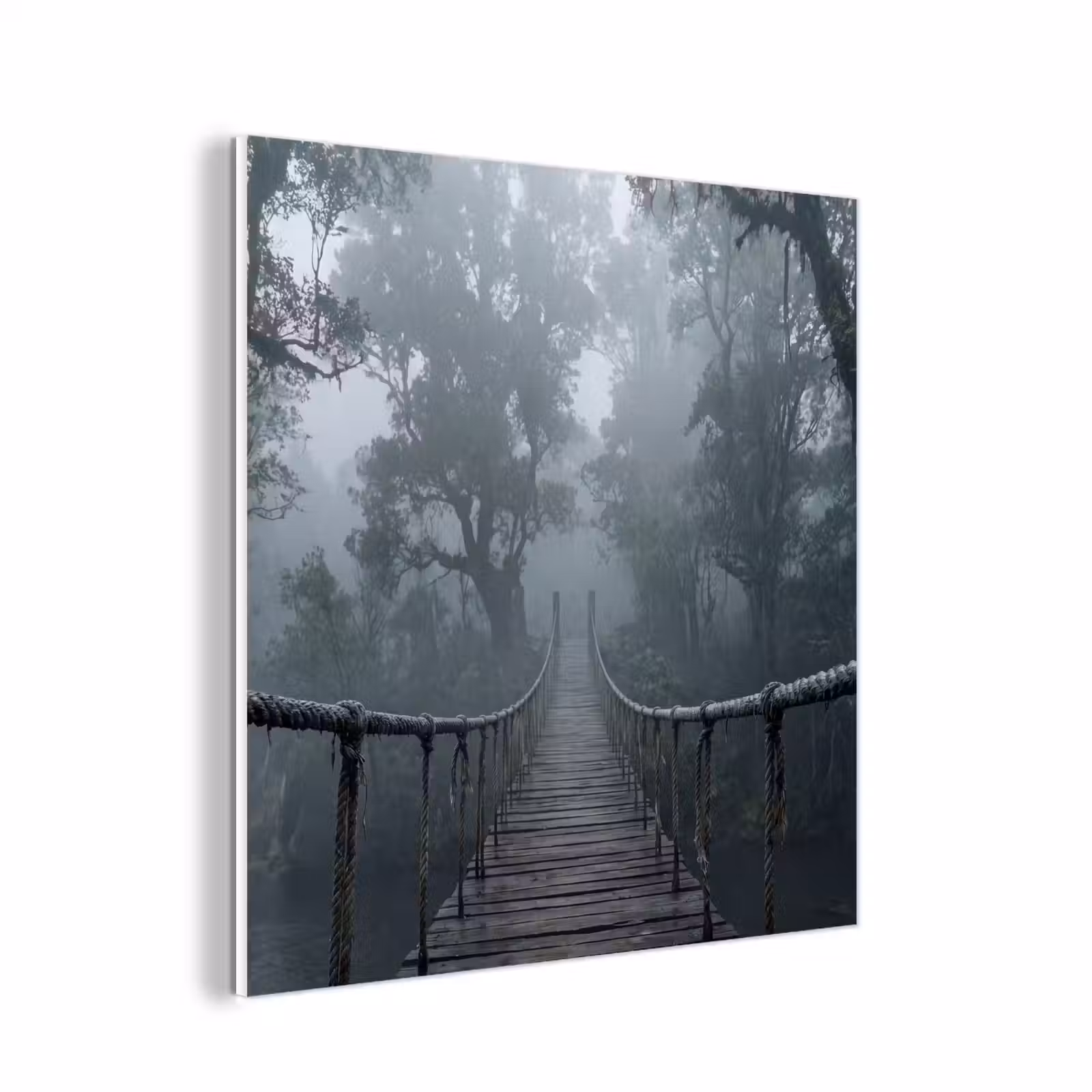 Forex - Brug - Jungle - Mist - Natuur — 1