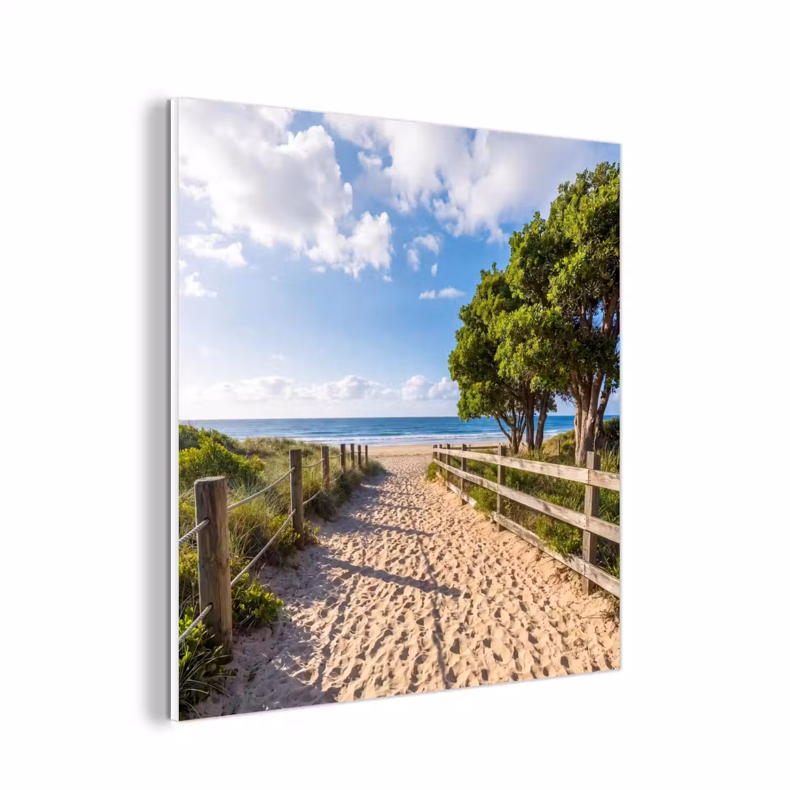 Forex - Strand - Zandpad - Oceaan - Natuur — 1