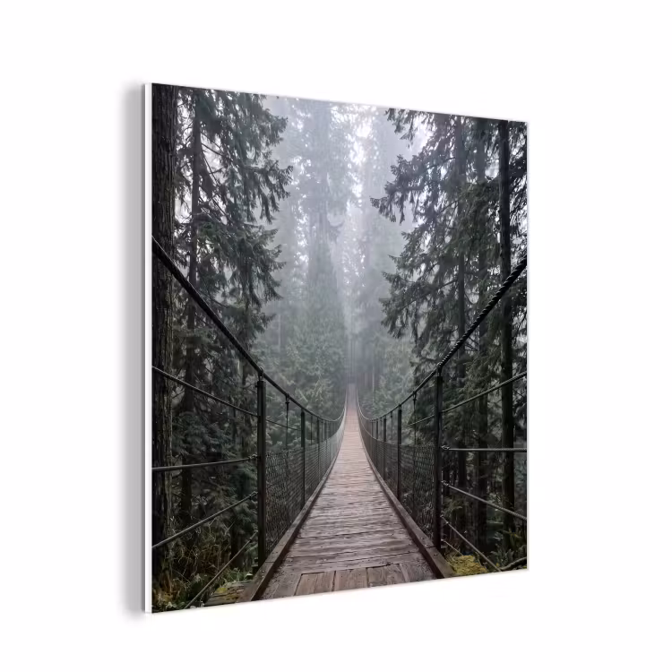 Forex - Brug - Bos - Mist - Natuur — 1