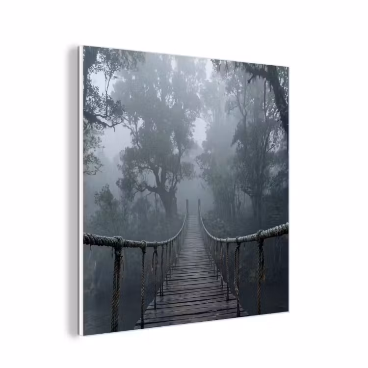 Forex - Brug - Jungle - Mist - Natuur — 1