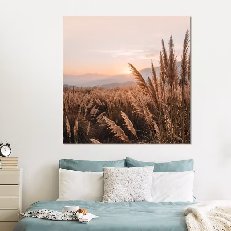 Forex - Gras - Veld - Zon - Natuur — 2