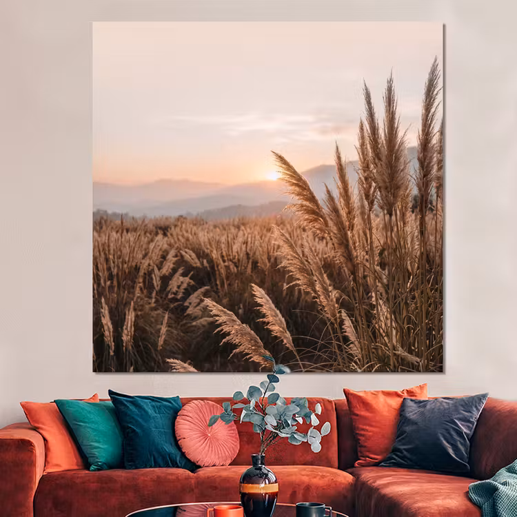 Forex - Gras - Veld - Zon - Natuur — 3