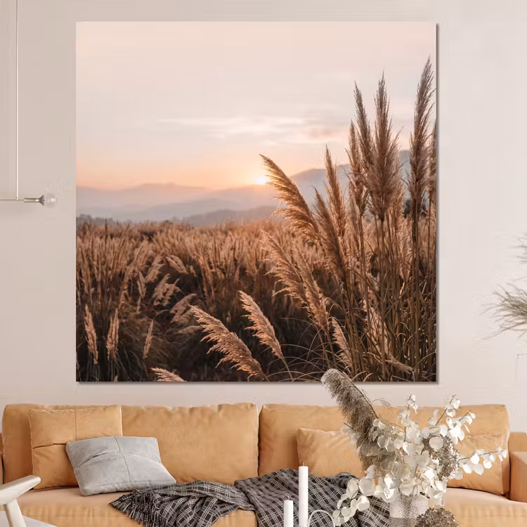 Forex - Gras - Veld - Zon - Natuur — 4
