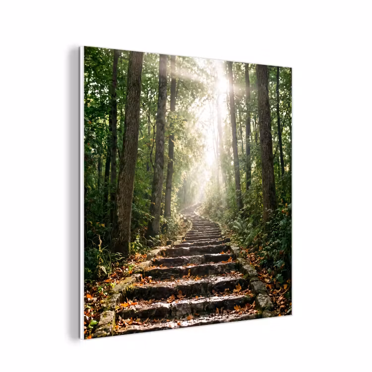 Forex - Stenen - Trap - Bos - Natuur — 1