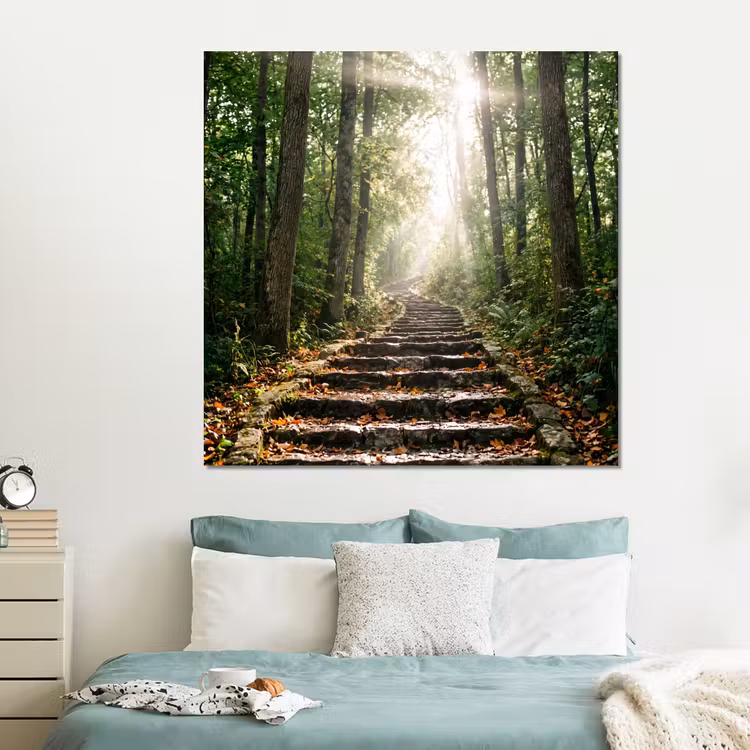 Forex - Stenen - Trap - Bos - Natuur — 2