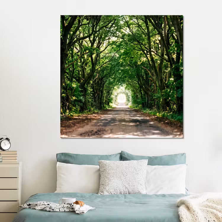 Forex - Weg - Bomen - Natuur - Groen — 2