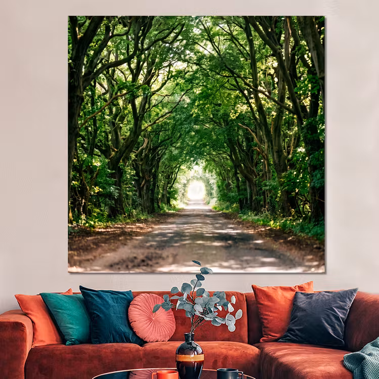 Forex - Weg - Bomen - Natuur - Groen — 3
