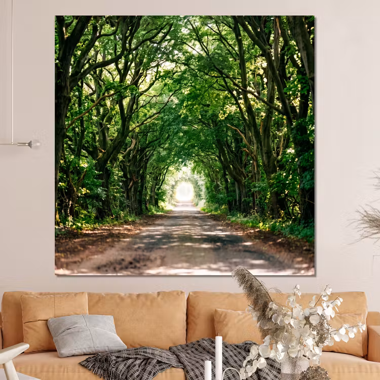 Forex - Weg - Bomen - Natuur - Groen — 4