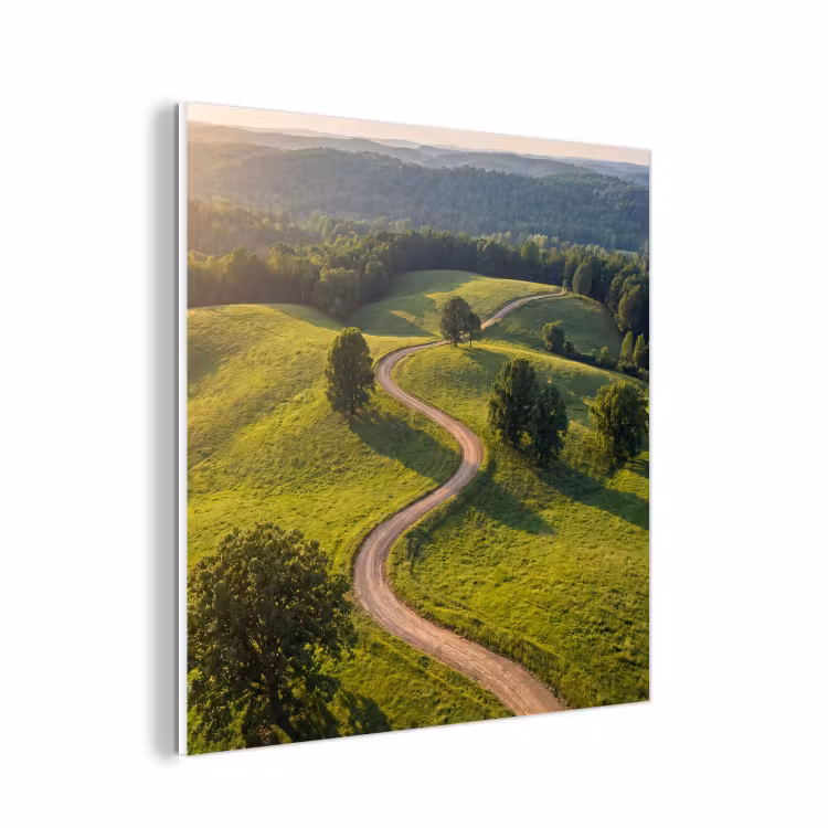 Forex - Weg - Weide - Natuur - Groen — 1