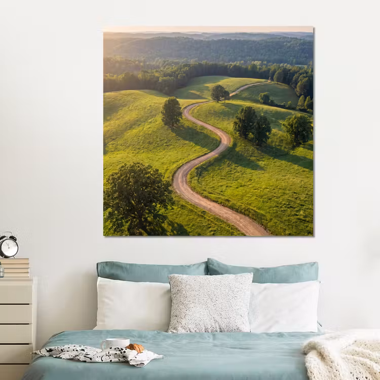 Forex - Weg - Weide - Natuur - Groen — 2