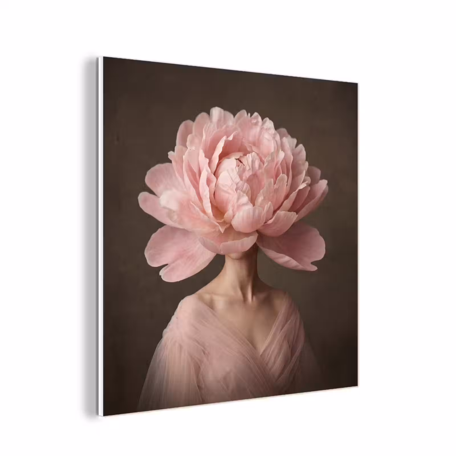 Forex - Gezicht - Roos - Roze — 1