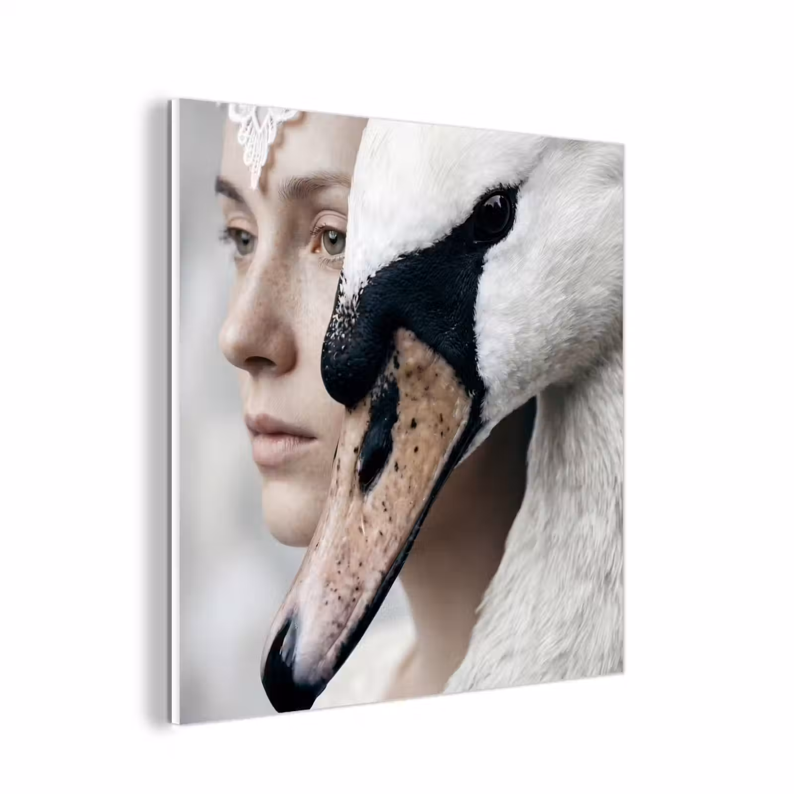 Forex - Vrouw - Zwaan - Wit — 1