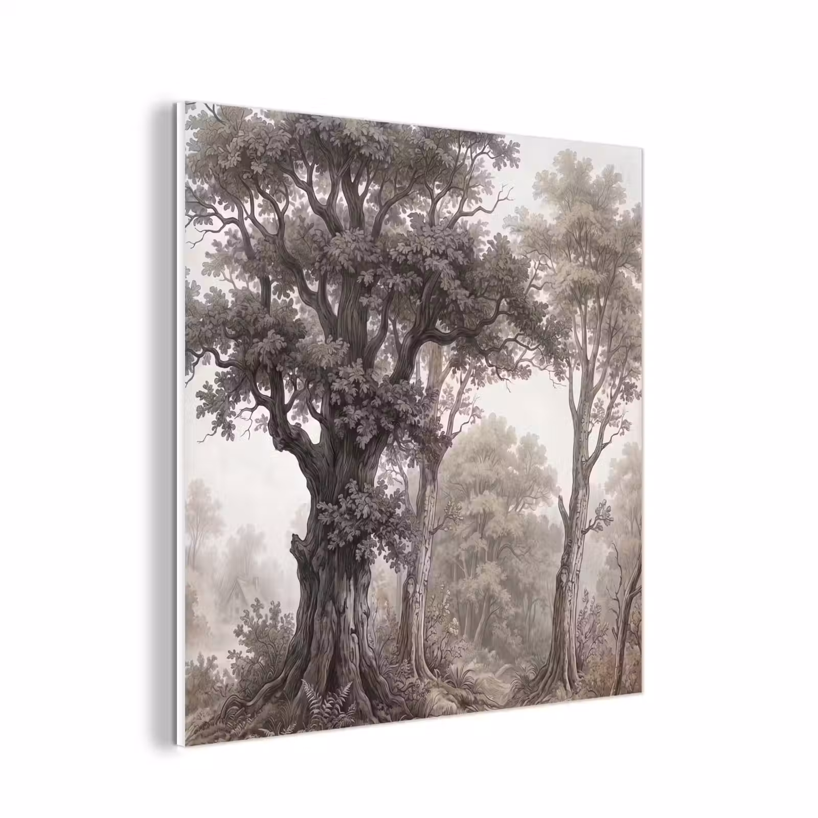 Forex - Natuur - Bos - Eik — 1
