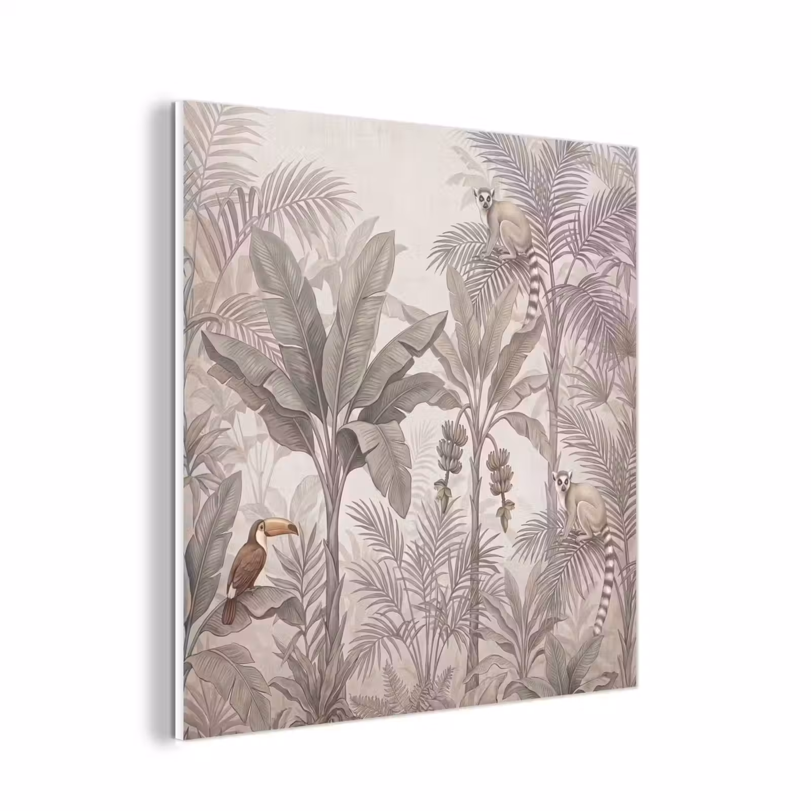 Forex - Natuur - Jungle - Ringstaartmaki - Bruin — 1