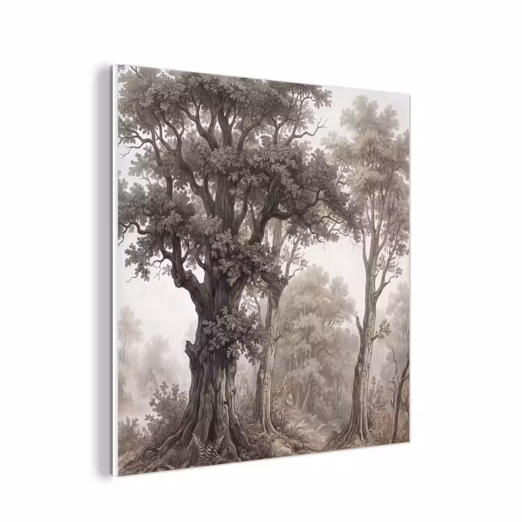 Forex - Natuur - Bos - Eik — 1
