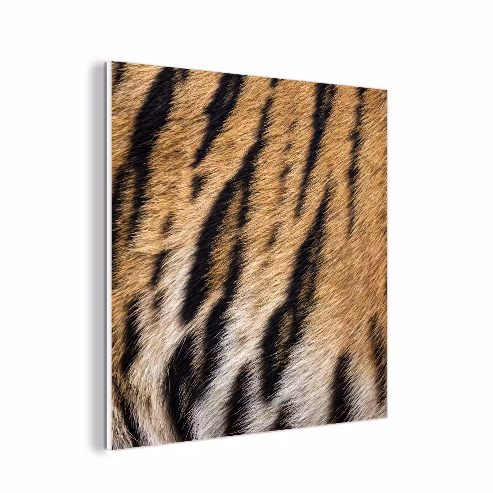 Forex - Tijgervacht - Klassiek - Zwart — 1