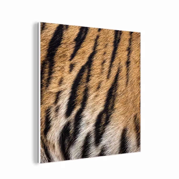 Forex - Tijgervacht - Klassiek - Zwart — 1