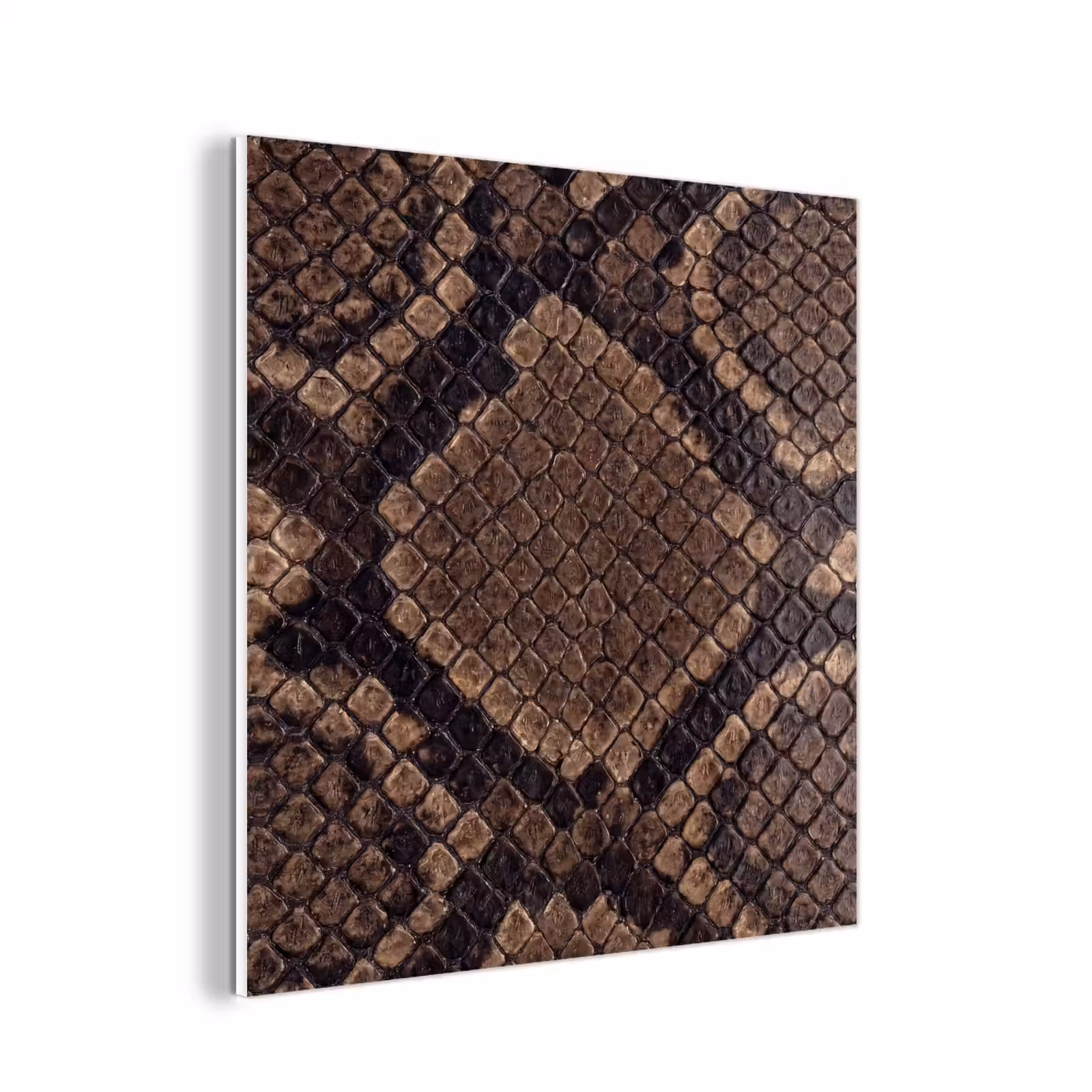 Forex - Python - Schubben - Brons — 1