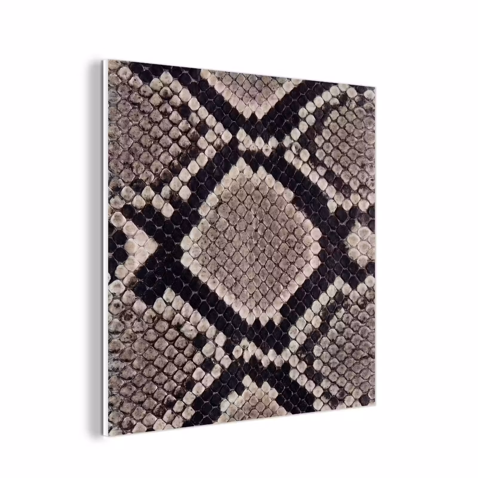 Forex - Slangenleer - Patroon - Beige — 1