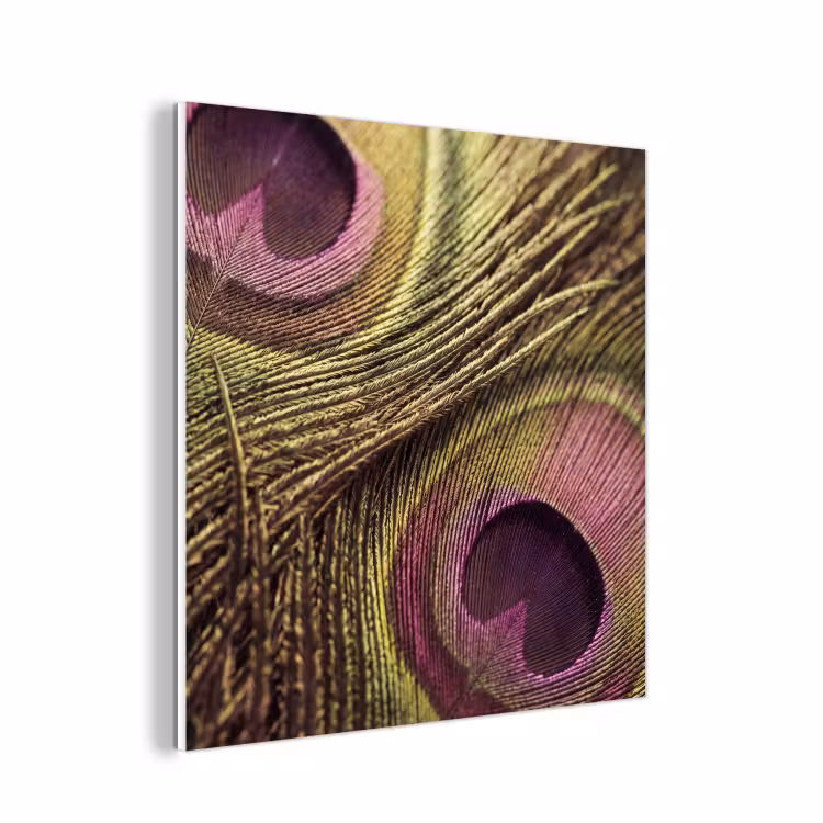 Forex - Pauw - Veren - Paars - Groen — 1