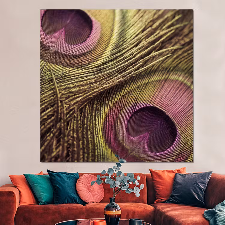 Forex - Pauw - Veren - Paars - Groen — 3
