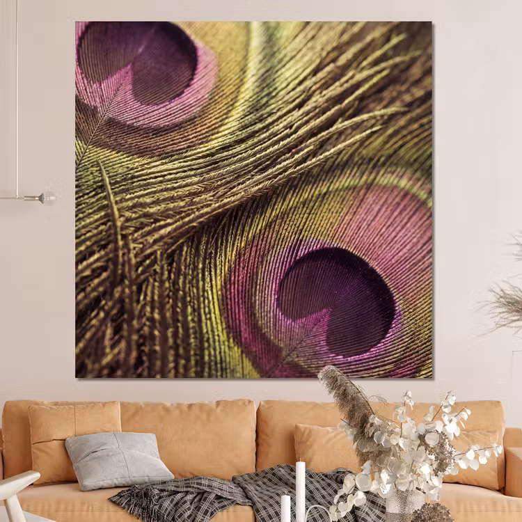 Forex - Pauw - Veren - Paars - Groen — 4