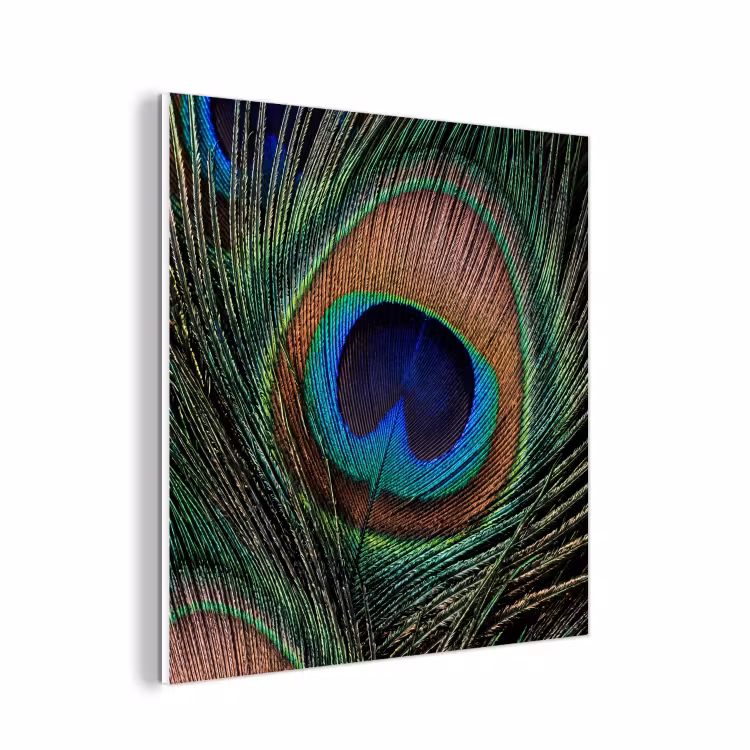 Forex - Pauwenveren - Klassiek - Groen — 1