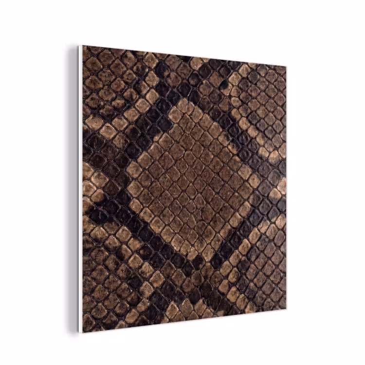 Forex - Python - Schubben - Brons — 1