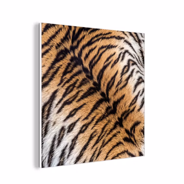 Forex - Realistisch - Tijgervacht - Zwart — 1