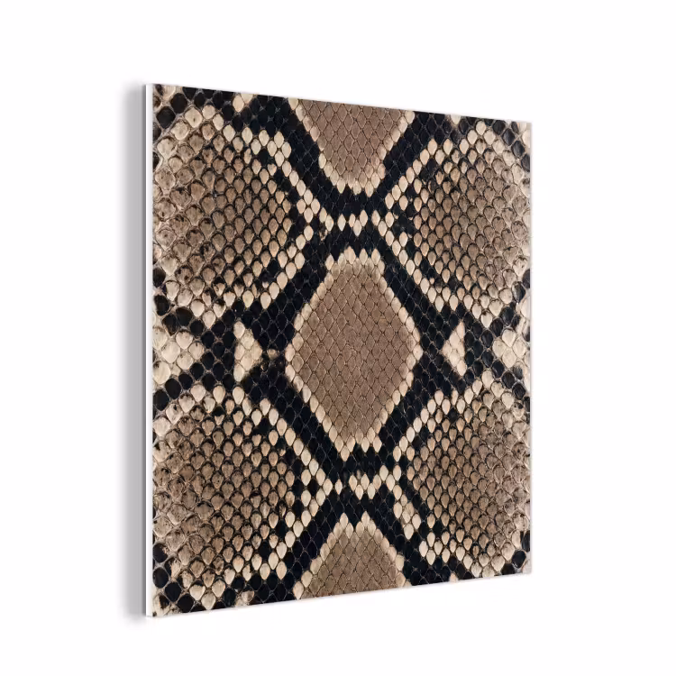 Forex - Slangenprint - Python - Bruin — 1
