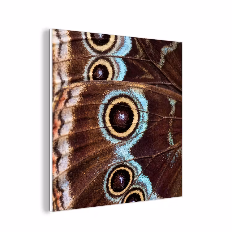 Forex - Vleugels - Vlinder - Blauw — 1
