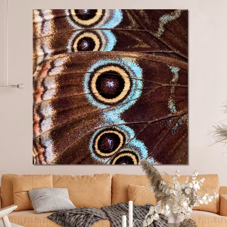 Forex - Vleugels - Vlinder - Blauw — 4
